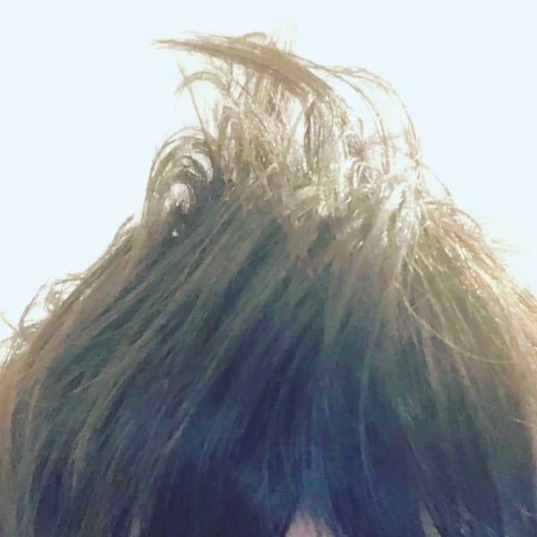 粕谷雄太さんのインスタグラム写真 - (粕谷雄太Instagram)「怒髪天をつく！！笑笑」8月18日 20時47分 - kasu1225