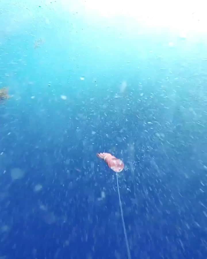 コロンビアのインスタグラム