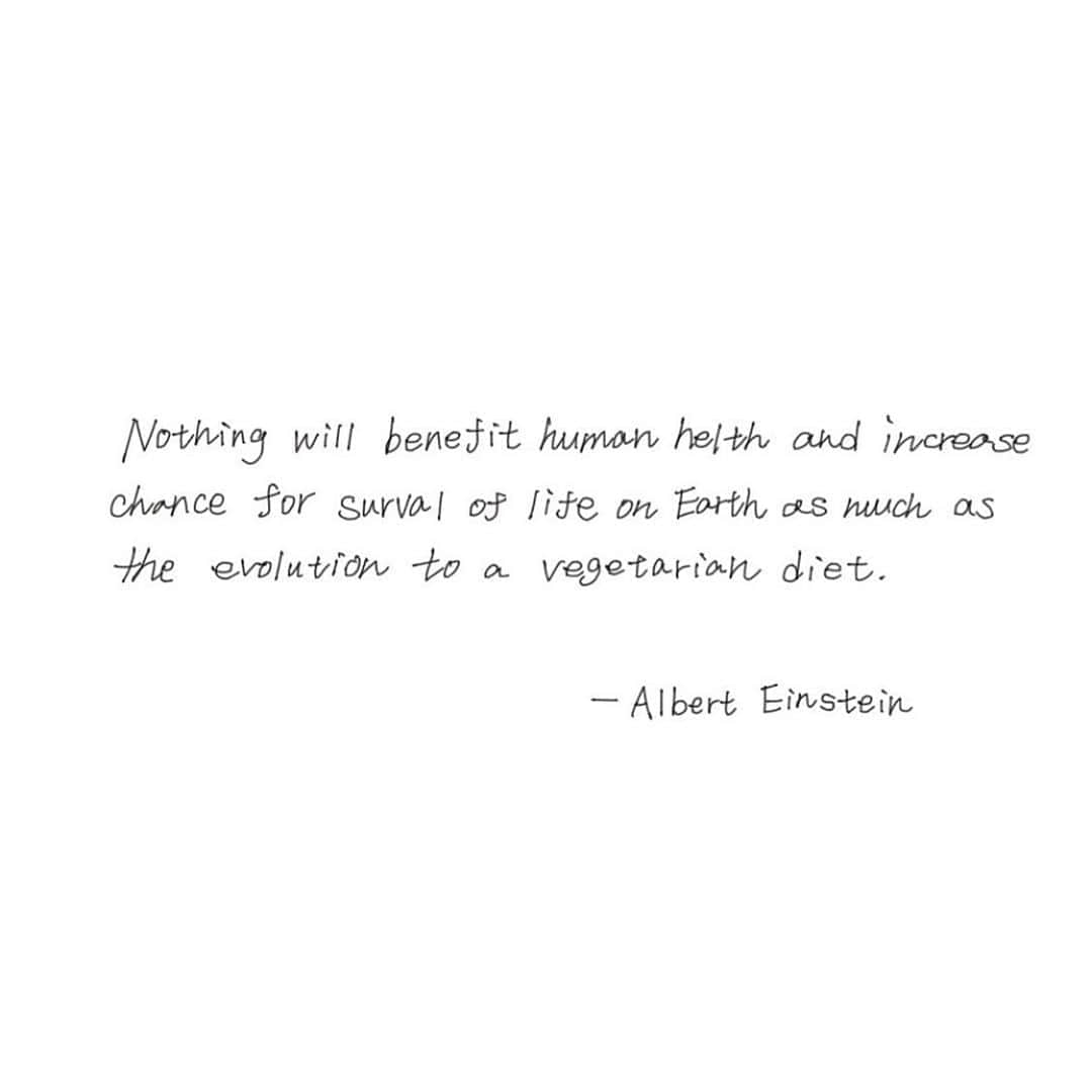 大田由香梨のグルメインスタ