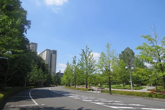 Soka Universityさんのインスタグラム写真 - (Soka UniversityInstagram)「Campus Seasonal Photos August ❸ 丹木の歳時記　葉月三 ⑴ False Anemone・蓮華升麻(レンゲショウマ) ⑵ Campanula・釣鐘人参(ツリガネニンジン) ⑶ Scilla scilloides・蔓穂(ツルボ) ⑷ Japanese bush clover・萩(ハギ) ⑸ Lotus ①・蓮①(ハス) ⑹ 蓮② ⑺ Rhinoceros beetle・カブトムシ♂ ⑻ Sieboldius albardae・コオニヤンマ ⑼ Hestina assimilis・アカボシゴマダラ ⑽ From Soudaimon・創大門より #discoversoka #sodaigram #sokauniversity #hachioji #tokyo #collegetown #campuslife #campusphotos #universityphotos #naturecolors #natureview #environmentallyfriendly #august2020 #summerphotos #fourseasonsphoto #創価大学 #八王子 #キャンパス #大学 #環境 #自然 #夏日 #暑い日 #葉月 #８月」8月18日 14時18分 - sokauniversity