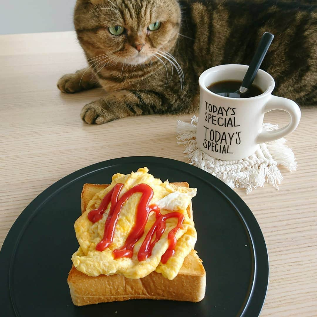 寅次郎（とらちゃん）のインスタグラム