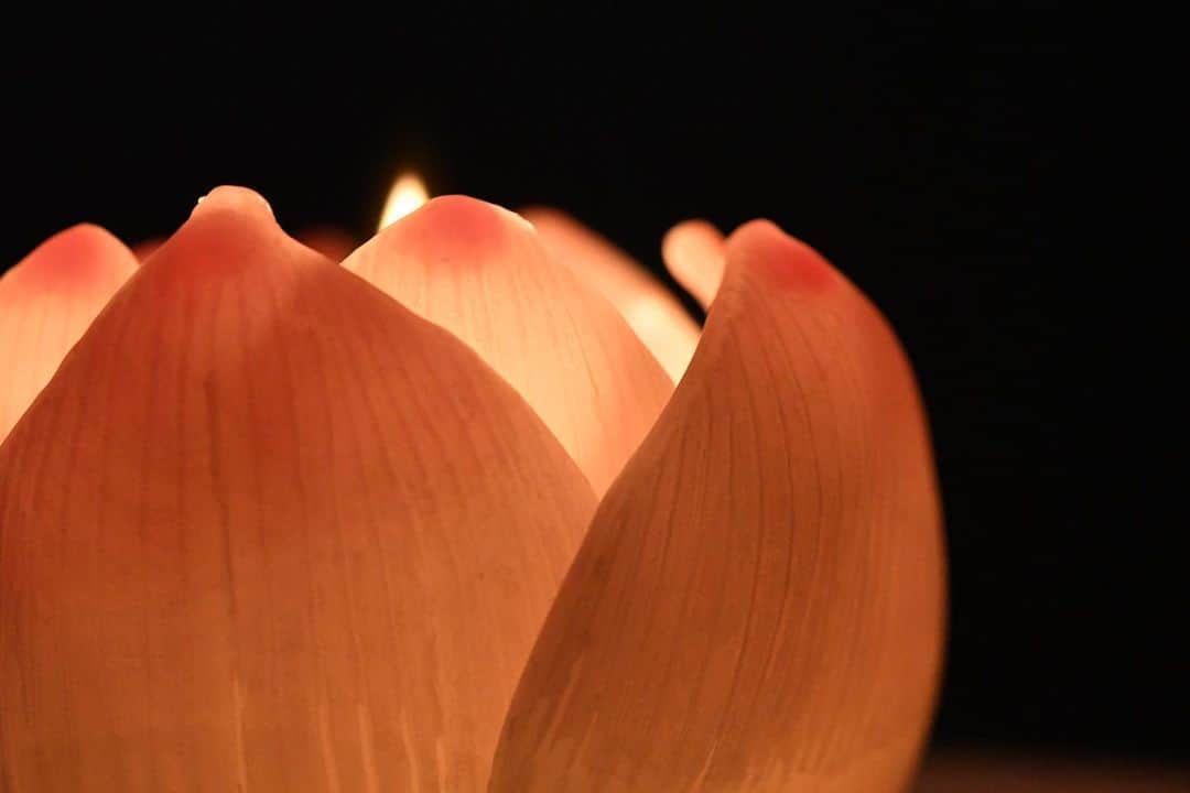 かっぱさんのインスタグラム写真 - (かっぱInstagram)「. . ミツロウワックスで、ハスの花のキャンドルを作ってみました🕯 火を灯すとランプみたいで綺麗です☺️ . . #ハス　#蓮　#蓮の花キャンドル　#手作りキャンドル　#ミツロウ　#キャンドル　#diycraft #lotus #candle #handmade」8月18日 15時08分 - kappa_83
