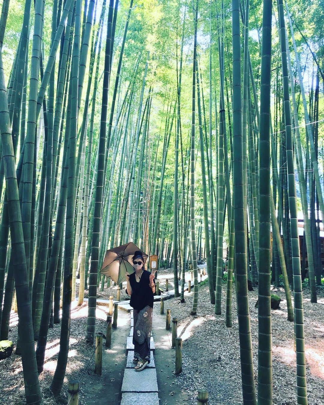 松田美由紀のインスタグラム：「鎌倉に行ってきた。 夏は竹林ですね。 しかし、サングラスとマスク（笑）あやしいね。」