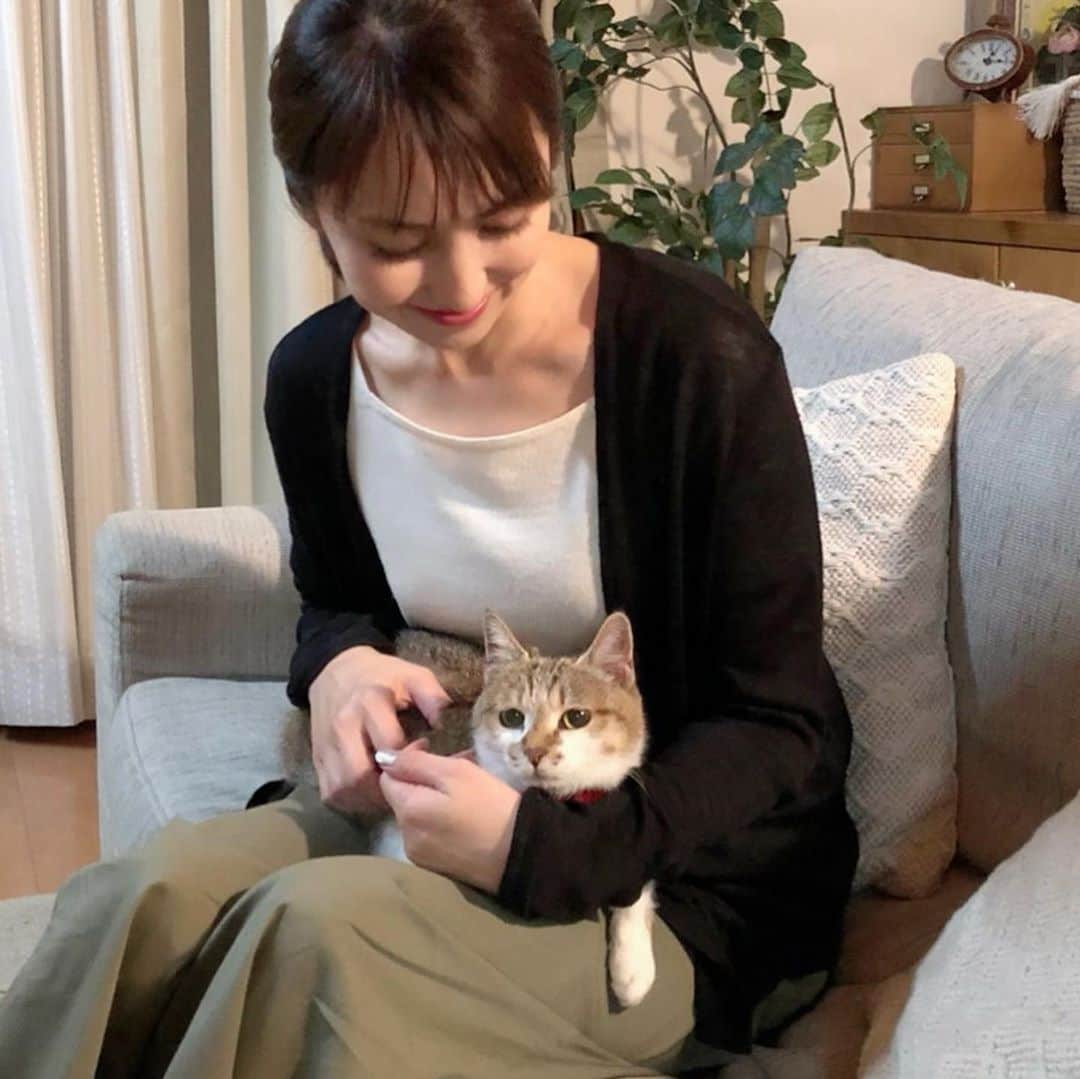 矢田亜希子さんのインスタグラム写真 - (矢田亜希子Instagram)「【オンエア】 2020年8月21日(金)19：00〜22：00 TBS『ご主人が笑った！泣いた！どうぶつ投稿ランド』 先日の猫ちゃんとの共演のドラマはこれでした！ 笑いあり、もう涙なしではみられません。私も涙涙でした。 #ご主人が笑った泣いた動物投稿ランド 衣装は @marccain  このブラウス私の友人たちからも大好評。素敵なブラウスでした！@enfold_official  @gianvitorossi  ヘアメイクは @kuboki_hairmakeup  スタイリング @nattunki」8月18日 15時18分 - akiko_yada