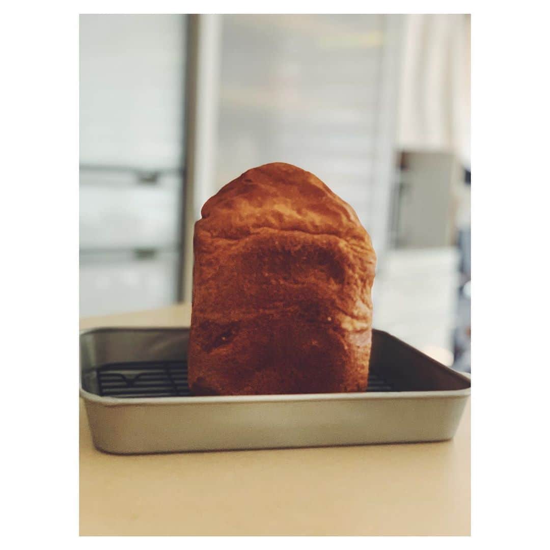 奥菜恵さんのインスタグラム写真 - (奥菜恵Instagram)「食パン完成。  久しぶりにTwitterで呟いたら、暗号遊びのようなツイートになってしまって、それもまた楽しいから良いか。  #パン作り #食パン #奥菜恵 #おきなめぐみ #オキナメグミ #megumiokina」8月18日 15時40分 - megumi_okina