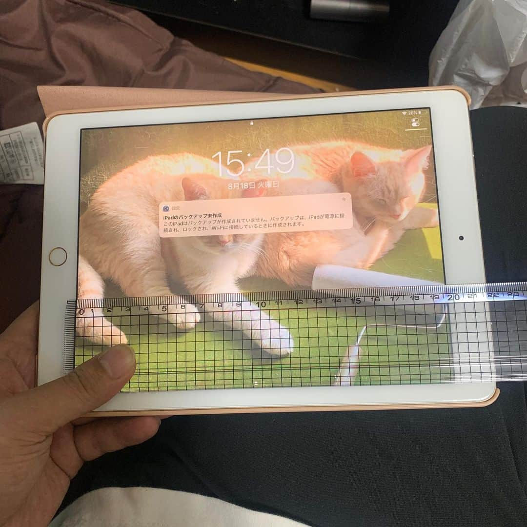 前野悠介さんのインスタグラム写真 - (前野悠介Instagram)「誰かメカに強い人、助けてくれ！！ iPadを風呂で見れる防水のヤツを買いたいんだが、自分のiPadが画面何インチなのかとか、何年前のヤツなんかどうやって調べたらええんですか？ 物差しで測るなら、画面だけですか？それとも白い硬い部分も合わせて測るんですか？ ってゆーのを、Yahoo知恵袋に載せようとしたら、Yahoo知恵袋の載せ方が分かりません。どなたか、Yahoo知恵袋の載せ方を教えて下さい」8月18日 15時54分 - maenoyuusuke