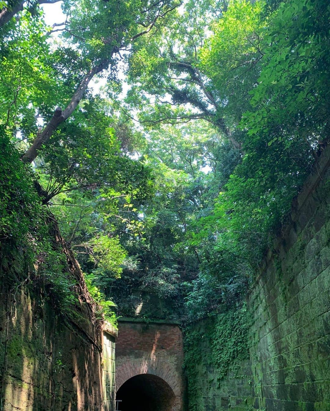 田名部生来さんのインスタグラム写真 - (田名部生来Instagram)「. トトロみるとラピュタ みたくなり猿島に行きたく なるといういつもの ルーティンがやってきました。 こちら昔行ったときの猿島ですが 涼しくなったらまた行きたいな🌳 数少ない近場で好きな場所。笑 . トトロは石垣島鍾乳洞の笑  #過去pic」8月18日 16時02分 - mnkspnpn