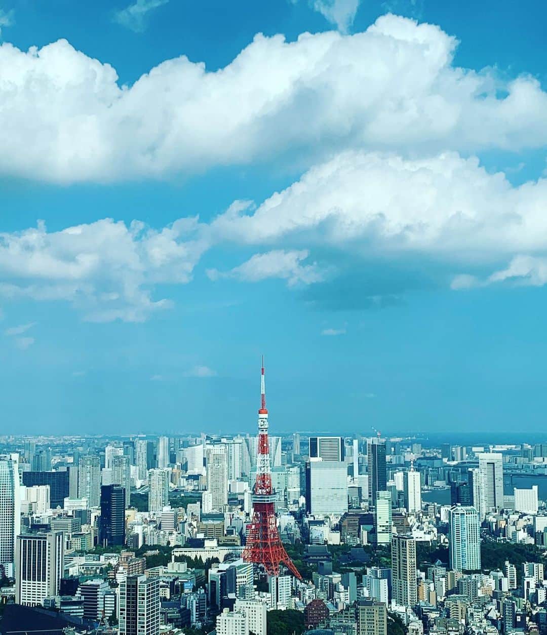 のインスタグラム：「今日の東京タワー。 やっぱり東京タワーがすきです。 外には暑くてでたくないけど。夏の空は大好きです。」