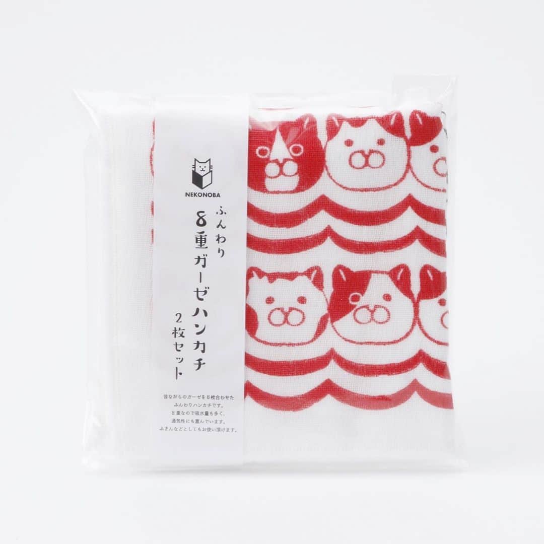 ねこのインスタグラム