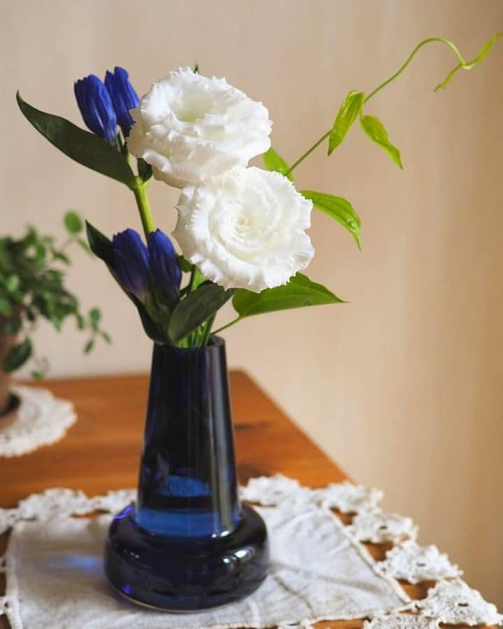 Bloomee LIFEさんのインスタグラム写真 - (Bloomee LIFEInstagram)「白と青の爽やかブーケ💐⠀ 八重咲きのトルコキキョウが華やかですね✨⠀ ⠀ 紫のリンドウと花瓶の色を合わせることで統一感が生まれ⠀ すっきりまとまった印象に💡⠀ ⠀ 花瓶の下にはドイリーを敷いて大人可愛い⠀ コーディネートを楽しむのも良いですね🌹⠀ ⠀ Special Thanks Photo by⠀ @8flower_life8 さん⠀ ⠀ #bloomeelife#ブルーミーライフ#お花の定期便#プチブーケ#サブスク#花のある生活#花好きな人と繋がりたい#おうち時間#花部#花写真#花が好き#花を飾る#暮らしを楽しむ#日々の暮らし#丁寧な暮らし#日々#お花のある暮らし#素敵な休日#暮らしを整える#くらしのきほん#日々の暮らしを楽しむ#丁寧に暮らす#おうち時間#インテリアフラワー#ナチュラルインテリア#豊かな暮らし」8月18日 16時55分 - bloomee