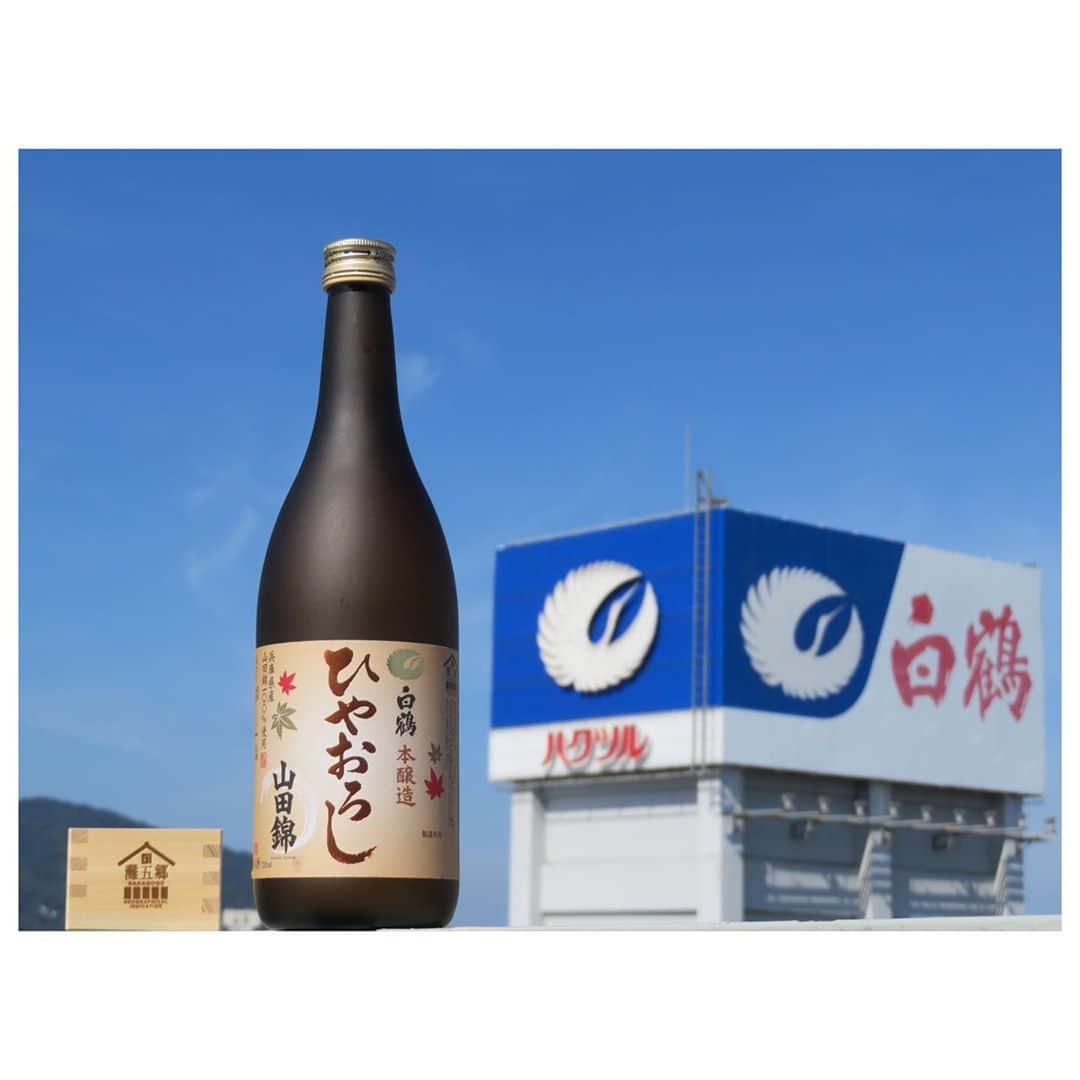 白鶴酒造株式会社のインスタグラム：「【GI「灘五郷 ひやおろし」】 昨日8月17日（月）、地理的表示（GI）「灘五郷」に「ひやおろし」（秋上がりのする酒質）についての新基準が加わりました。 新基準初の審査において、「GI『灘五郷 ひやおろし』」に認定された、「特撰 白鶴 本醸造 山田錦 ひやおろし」を9月1日（火）から期間限定で発売します。 灘の酒らしく秋上がりした「ひやおろし」を、是非ご賞味ください♪  ▼詳細  http://www.hakutsuru.co.jp/corporate/news/2020/gi-gi-1.shtml  #日本酒 #hakutsuru #折り鶴 #foldedpapercrane #japan #神戸 #kobe #酒 #sake #japanesesake #白鶴 #japaneseculture #灘五郷 #GI灘五郷 #lovehyogo #lovekobe #insta_higashinada #ひやおろし #秋上がり #GI灘五郷ひやおろし #山田錦」