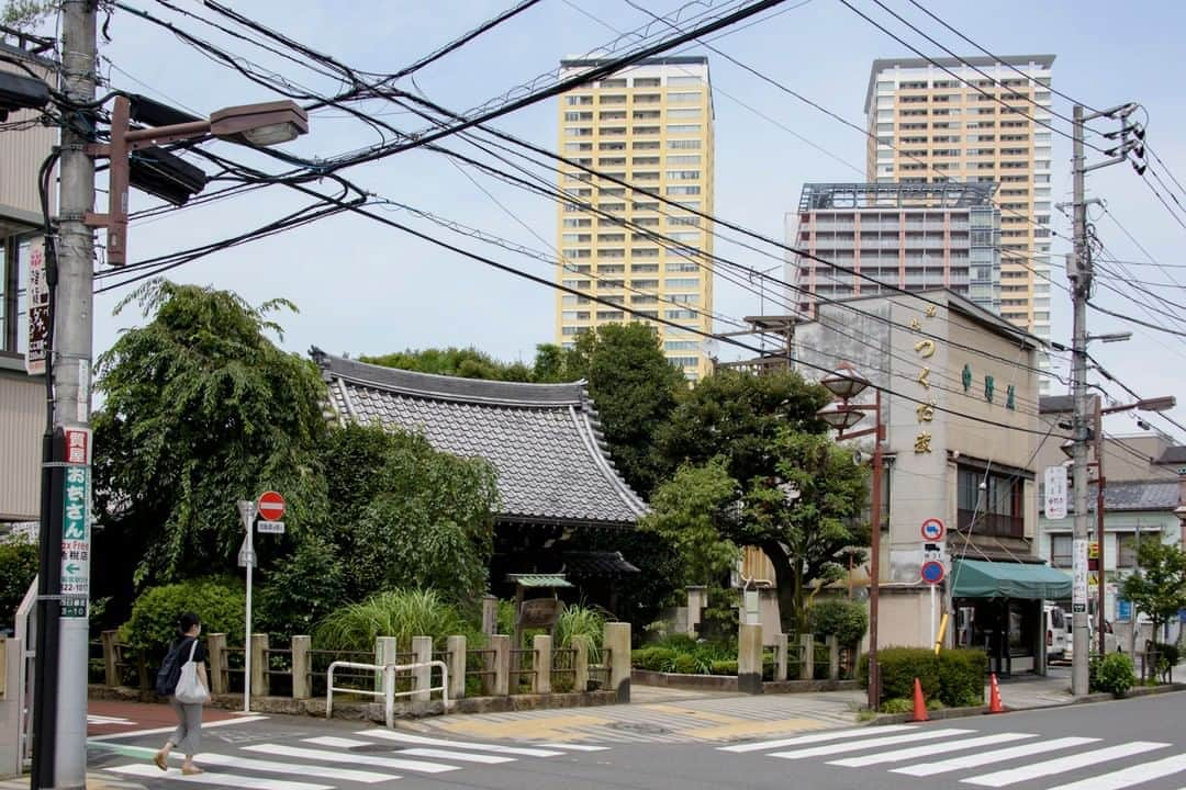 東京都庁広報課さんのインスタグラム写真 - (東京都庁広報課Instagram)「「谷中／Yanaka (2020.7.20撮影)」最寄駅：日暮里駅   　#谷中 #谷中ぎんざ #谷根千 #台東区 #商店街 #夕焼けだんだん #下町東京レトロ #tokyotokyo #tokyogram #moodygrams #jp_gallery #ptk_japan #gdayjapan #realtokyo #beautifuldestinations #tokyojapan #instatokyo #loves_nippon #phos_japan #bestjapanpics #cooljapan #japan_of_insta #photo_jpn #illgrammers #景色 #東京 #Tokyo #东京 #도쿄 #tokyogood」8月18日 17時01分 - tocho_koho_official