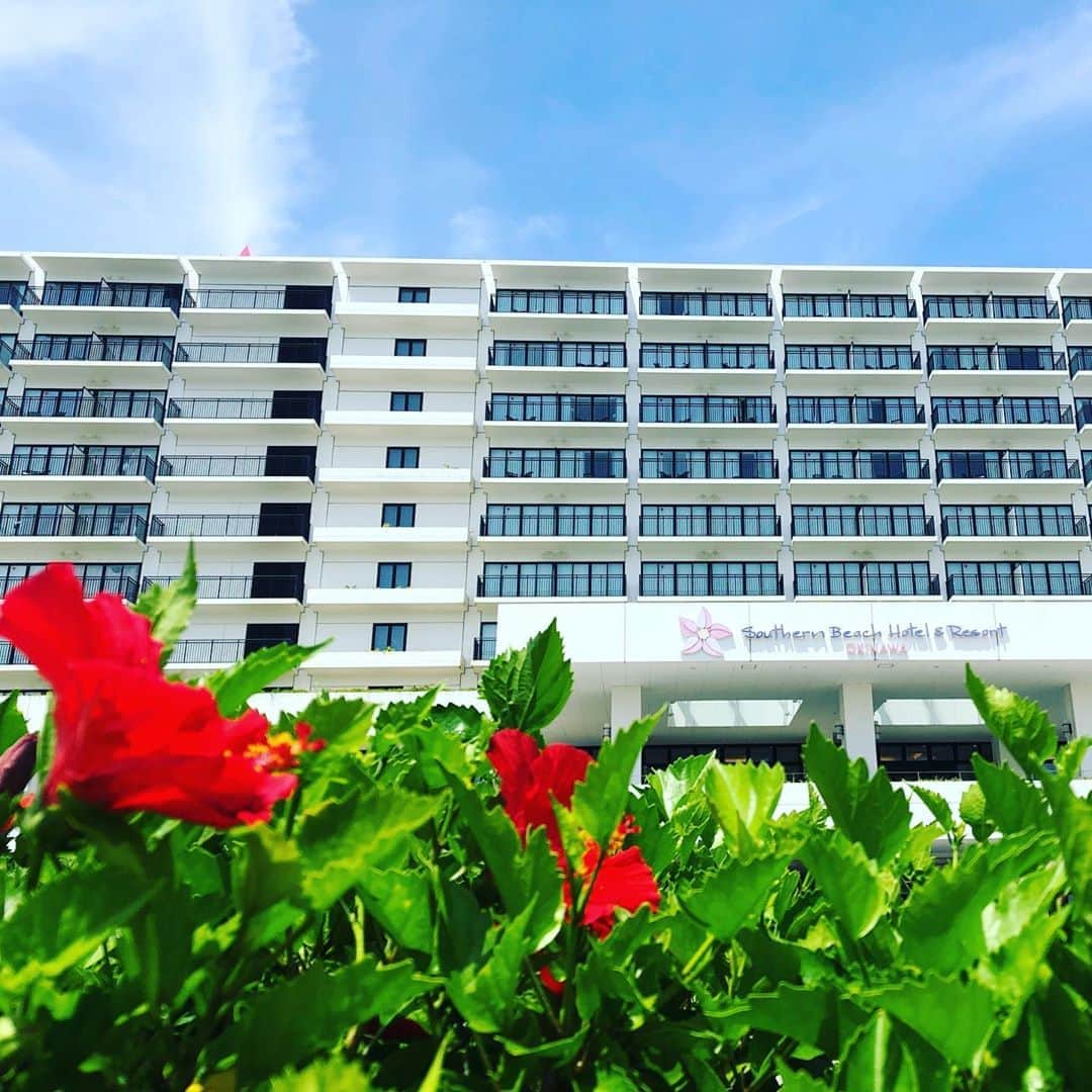 サザンビーチホテル＆リゾート沖縄さんのインスタグラム写真 - (サザンビーチホテル＆リゾート沖縄Instagram)「沖縄本島の一番南、糸満は只今32℃。 アチサイビーンヤー（沖縄方言：暑いですね～）  太陽が元気で敷地内のハイビスカスもハツラツとしています！ 実は、正面玄関にあるクイナのオブジェが、最近人気の撮影スポット。  #糸満贅沢リゾート #サザンビーチホテル #サザンビーチホテルアンドリゾート沖縄 #southernbeachhotelandresortokinawa  #夕陽がキレイ #夏休み #糸満 #沖縄 #リゾート #ハイビスカス #撮影スポット #クイナ #Sunset #summer #Itoman　#Okinawa #Sea #Beach #Resort　#Hibiscus #kuina #Photo-spots  #Photo #서든비치호텔 #노을 #여름방학  #오키나와 #바다 #비치 #리조트」8月18日 17時09分 - southernbeachokinawa