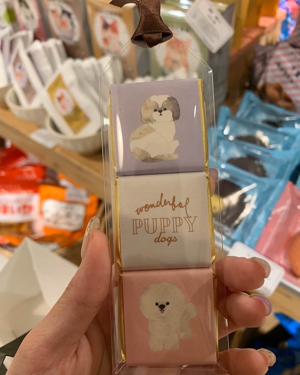のインスタグラム：「‪【#PUPPYチョコ】‬  愛犬ぴーちゃんに似ているチョコ発見🍫  かわいいワンちゃんチョコレート🐩💓  ‪#駄菓子アナウンサー‬ ‪#駄菓子屋 #駄菓子女子 ‬ ‪#駄菓子 #日本駄菓子協会 #公認‬  ‪#HAP #horipro‬ ‪#田中めぐみ #アナウンサー‬ ‪#ホリプロ #ホリプロアナウンス室‬」