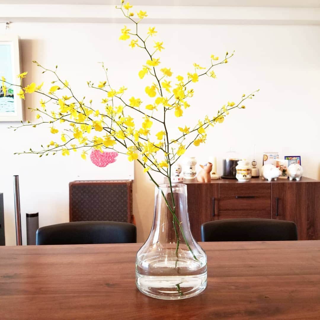 前園真聖さんのインスタグラム写真 - (前園真聖Instagram)「黄色い蝶のような花を咲かすオンシジューム😊 #オンシジューム  #花のある暮らし  #花」8月18日 17時29分 - maezono_masakiyo