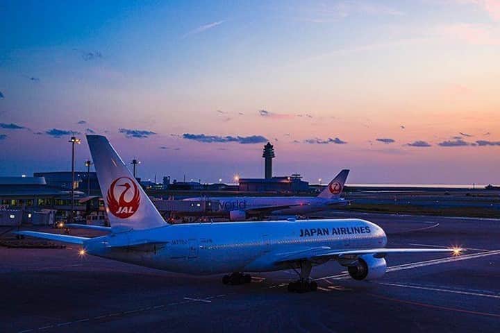 のインスタグラム：「. Taking a break while gazing at the sky's gradation. #AmazingAugust  鮮やかなグラデーションを眺めながら、ちょっと一息✈︎ . . Photo by @imageskystudio Post your memories with #FlyJAL  #JapanAirlines #travel #airplane #travelawesome #momentofmine」