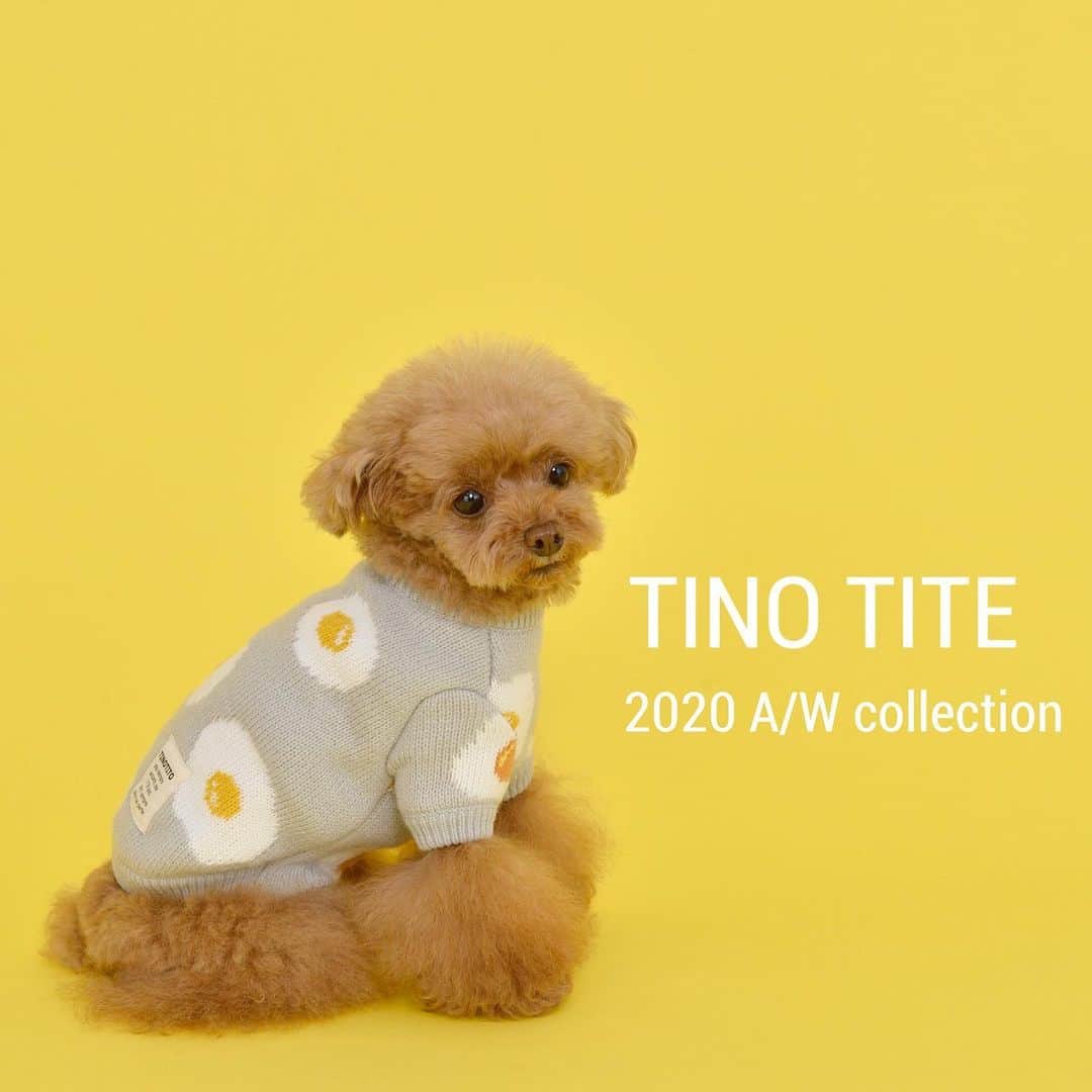 TINOTITO -ティノティート-さんのインスタグラム写真 - (TINOTITO -ティノティート-Instagram)「🍳🍳🍳 TINO TITO 2020 AW collection のご紹介です。 まだまだ暑いので気が早いようですが、 少しづつご紹介しますので、チェックしていただきたいと思います♡. . なお、販売開始はまだ未定ですので詳細が決まり次第お知らせします！ . モデルわんこは、今回から撮影に参加してくれた、ニューフェイスの 1枚目　トイプードルさーちゃん 2枚目　チワワcocoちゃん cocoちゃんは以前よりd's chat でモデルわんこ活躍してくれています。 . とってもいい表情で、頑張ってくれました😘. たくさんのいい写真を撮らせてくれてありがとう💕 . そして、モデルわんこ着用の洋服はTINO TITEでは定番となりました、目玉焼き柄シリーズ🍳毎シーズン大人気で、ファンの方も多いんですよ♡ . wanvoyage(ワンボヤージュさん)にて TINO TITO 2020 SS collection を 販売しています！！ . @wanvoyage_official のサイトをご覧ください .  #tinotito #ティノティート #犬の服 #犬服 #犬服 #犬 #犬バカ部 #ペット #ふわもこ部 #pet #dogwear #dog#petclothes #dogclothes #coordinate #outfit #fashion  #instafollow #l4l #dogstagram #instagood #cute #pretty  #follow #petoftheday #f4f #followme  #개스타그램 #멍스타그램 #狗衣服」8月18日 17時41分 - tinotito_shop