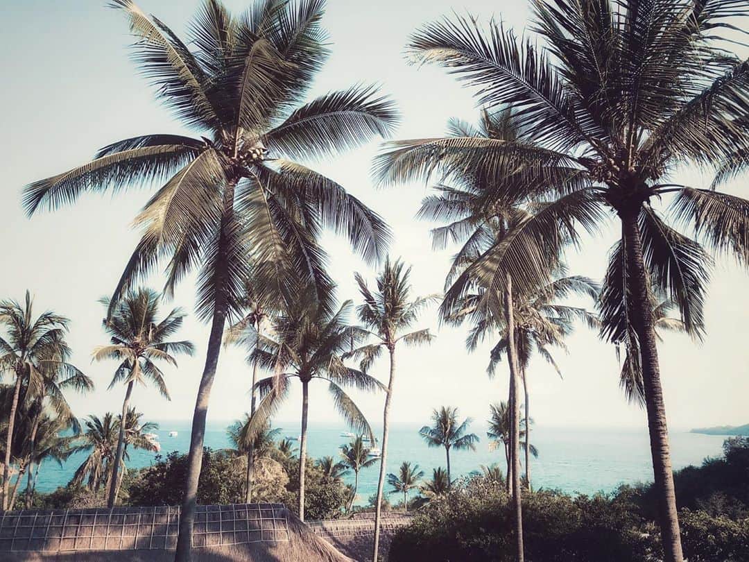 遠海まりこさんのインスタグラム写真 - (遠海まりこInstagram)「Palm Trees﻿ ———————————————————————﻿ ﻿ ﻿ ﻿ ﻿ ﻿ Summer memories.﻿ ﻿ ﻿ ﻿ ﻿ ﻿ ﻿ ﻿ #palmtrees #bali #indonesia #summerseason #summer #memories #osean #bulesky #photography #aman  #amanresorts #summermemories #sunset #beautiful」8月18日 17時45分 - marikotohmi99
