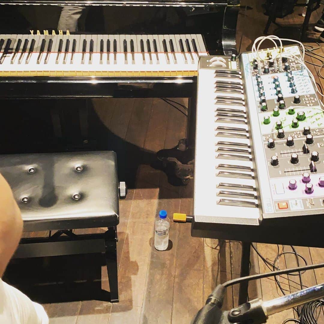 ただすけのインスタグラム：「今日のロリケンポンすけのピアノのお供はmoog MATRIARCH。 アーカイブの視聴も後で購入が出来ないらしいので、お忘れなき様お願いします〜🙇‍♂️」