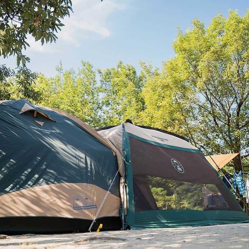 キャンプ情報サイト［ランタン］さんのインスタグラム写真 - (キャンプ情報サイト［ランタン］Instagram)「CAMP SMILE STYLE ／ 新緑に囲まれコールマンの リビングフロアシートでゴロゴロのんびり ＼ いろんなキャンパーのキャンプスタイルを現地取材と一般キャンパーからの投稿で数多く掲載してます。 . . 詳しくは @lantern.camp webサイトをご覧ください . . #camp #camping #outdoor #travel #trip #lantern_smile #nature #キャンプ #キャンプ用品 #キャンプギア #アウトドア #テント #自然 #旅行 #キャンプ初心者  #キャンプ好きな人と繋がりたい #camper #外遊び #青川峡キャンピングパーク #ファミリーキャンプ #LANTERN #ファミキャン #テントレイアウト #キャンプレイアウト #コールマン #キャンプギア #coleman #BBQ #コールマンテント #キャンプレイアウト #キャンプ道具 #夏の思い出」8月18日 18時06分 - lantern.camp