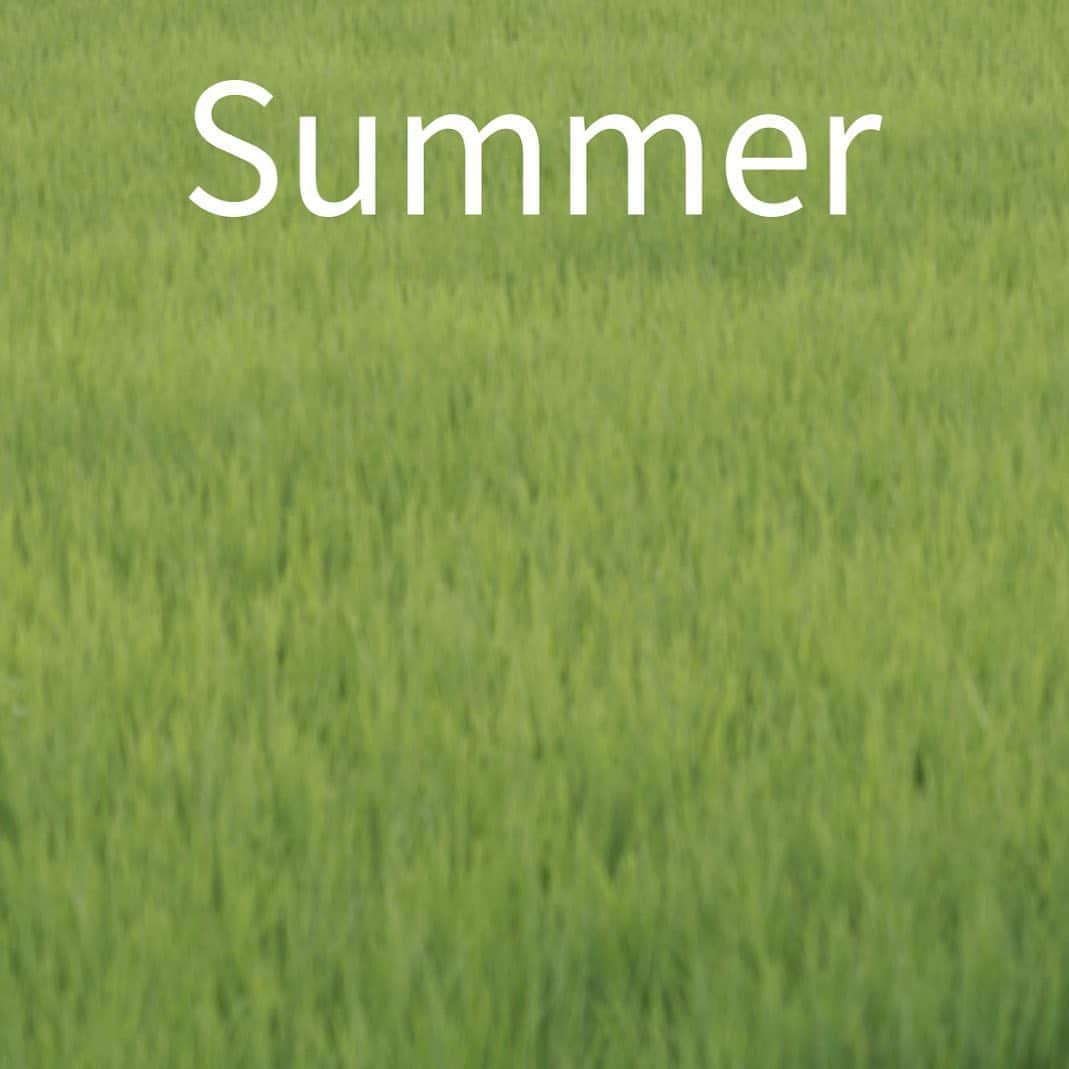 ヒラハルのグルメインスタ