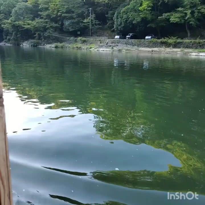 のインスタグラム：「🎋残暑お見舞い申し上げます🎐 #kyoto #arashiyama #arashiyamakyoto」