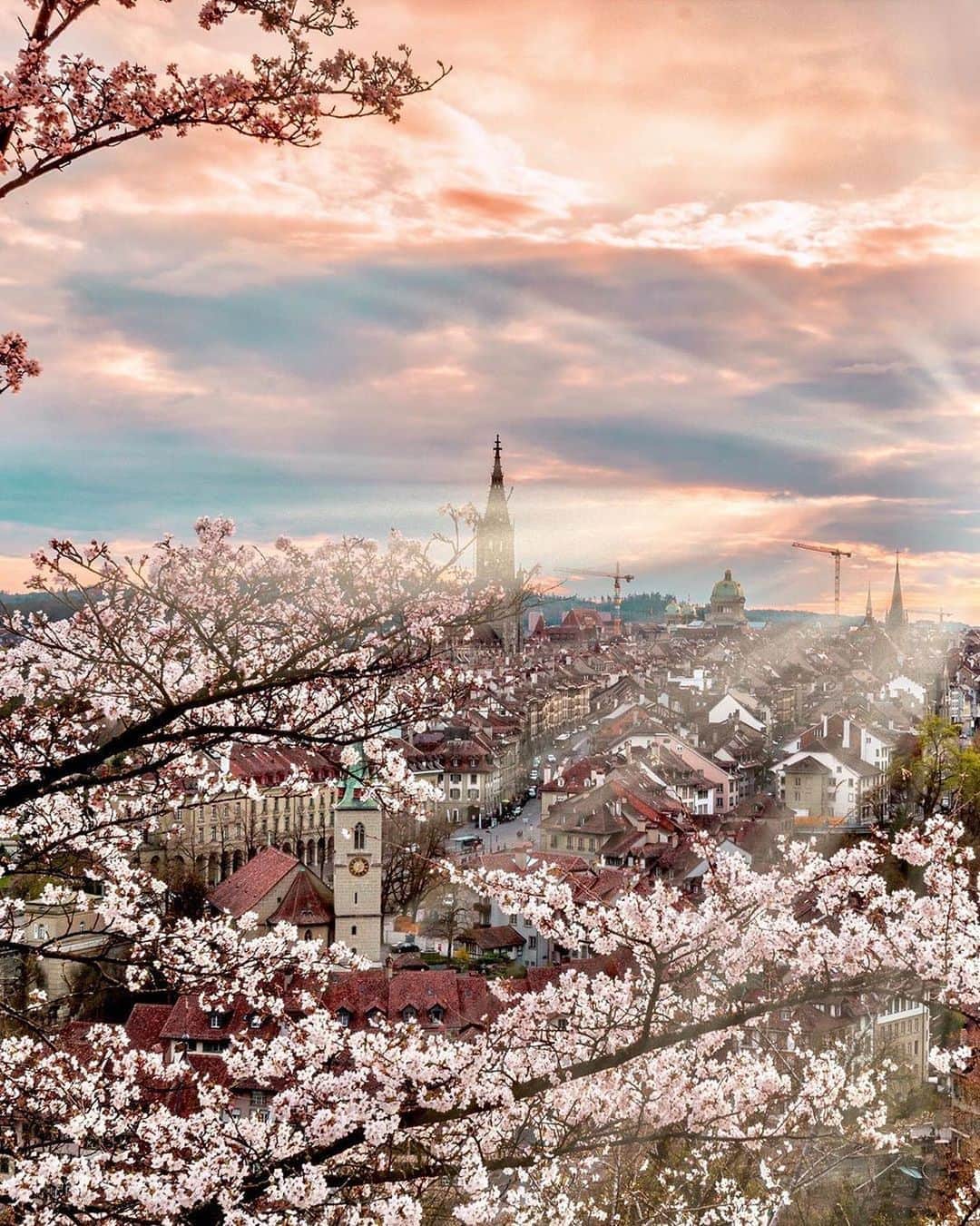 BEAUTIFUL DESTINATIONSさんのインスタグラム写真 - (BEAUTIFUL DESTINATIONSInstagram)「Always stunned by the beauty of Bern! Did you know that you can also see the cherry blossom season here? 🌸The city is home to the beautiful Rose Garden, with the Japanese cherry trees lit up in pastel pink in April.  The capital of Switzerland with its well-preserved old town is indeed charming!🇨🇭You'll see its character as you walk along its streets and the high-level bridges that link the city, and gaze in awe at its architecture that reflects the prosperity of Bern since the 17th and 18th centuries.   Are you planning on heading here too or have you been here before? Tell us about it!   📸 @amir_asani13  📍Bern, Switzerland」8月18日 18時42分 - beautifuldestinations