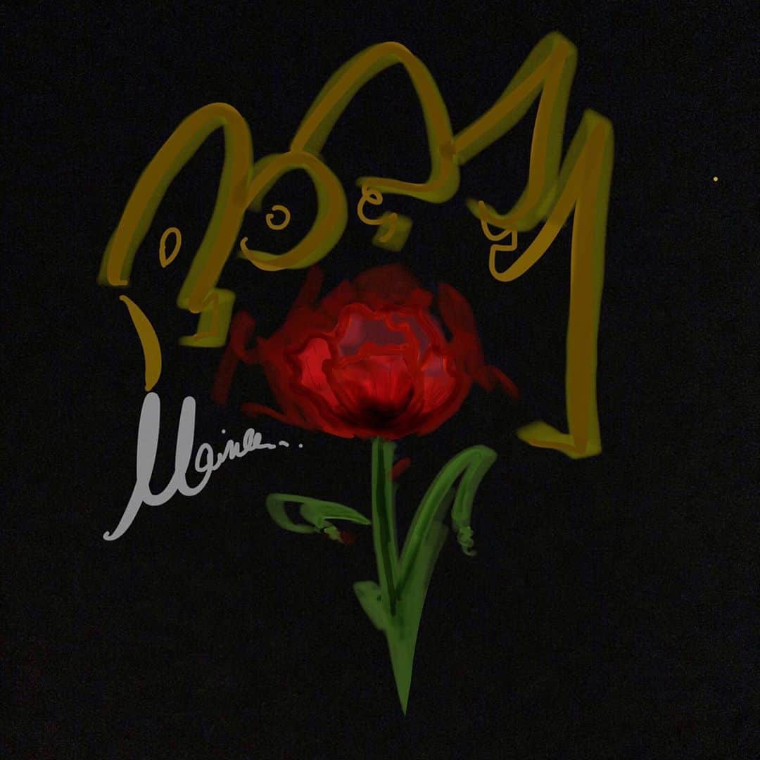 のインスタグラム：「🥀 . . . #イラスト #イラストグラム #イラスト好きな人と繋がりたい #イラスト好き  #artist #illustration #illustrator #art #design #drawing」