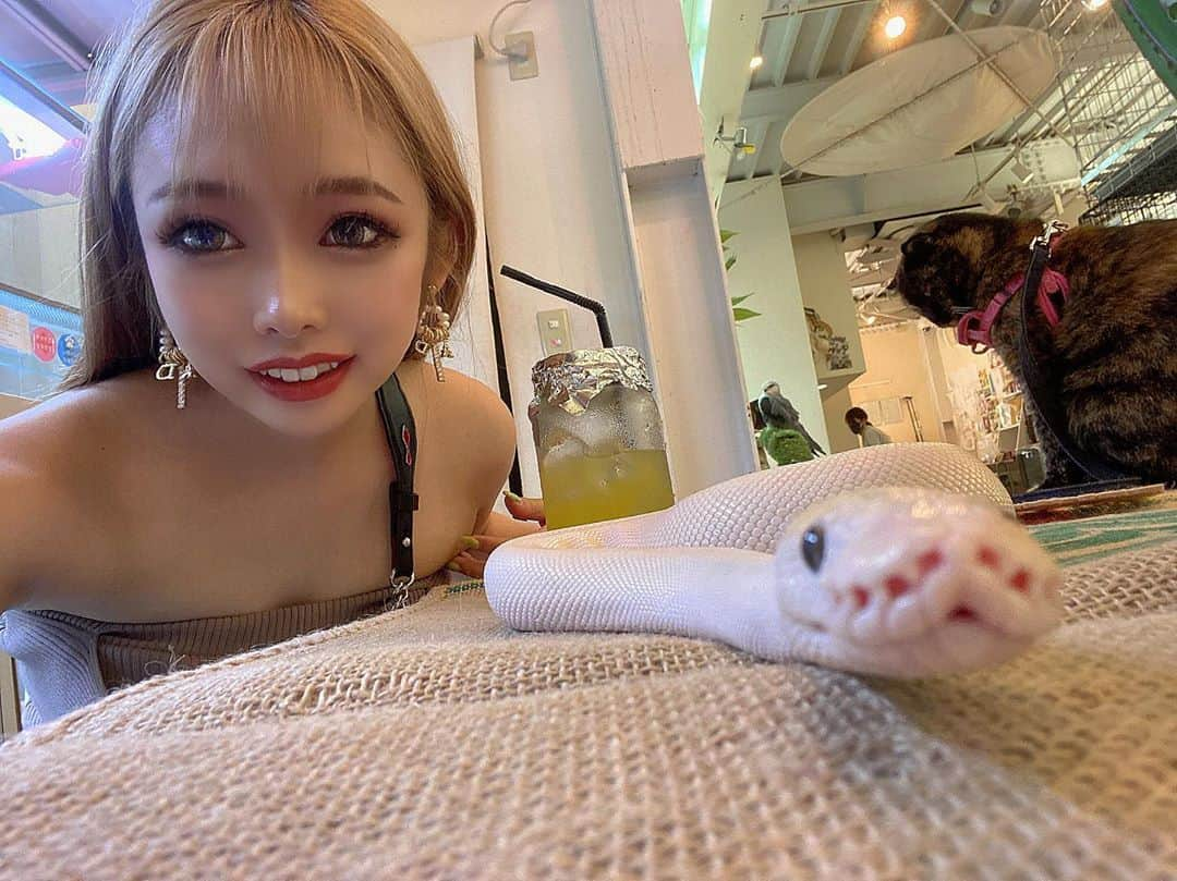 HINAのインスタグラム：「﻿ 爬虫類初めて触ったけど、﻿ すきかも、、、🐍💖﻿ ﻿ #カフェ #prettywoman #プリティーウーマン #名古屋 #錦 #錦三 #キャバクラ #キャバ嬢 #ショータイム #シャンパン #シャンパンガール #ショーガール #メイク #かわいい #ダンス #ダンサー #撮影 #お酒 #酒ヤクザ #コスメ #大阪 #  飲み屋 #歌舞伎 #北新地 #六本木 #すすきの #ギャル #follow #followme #l4l」