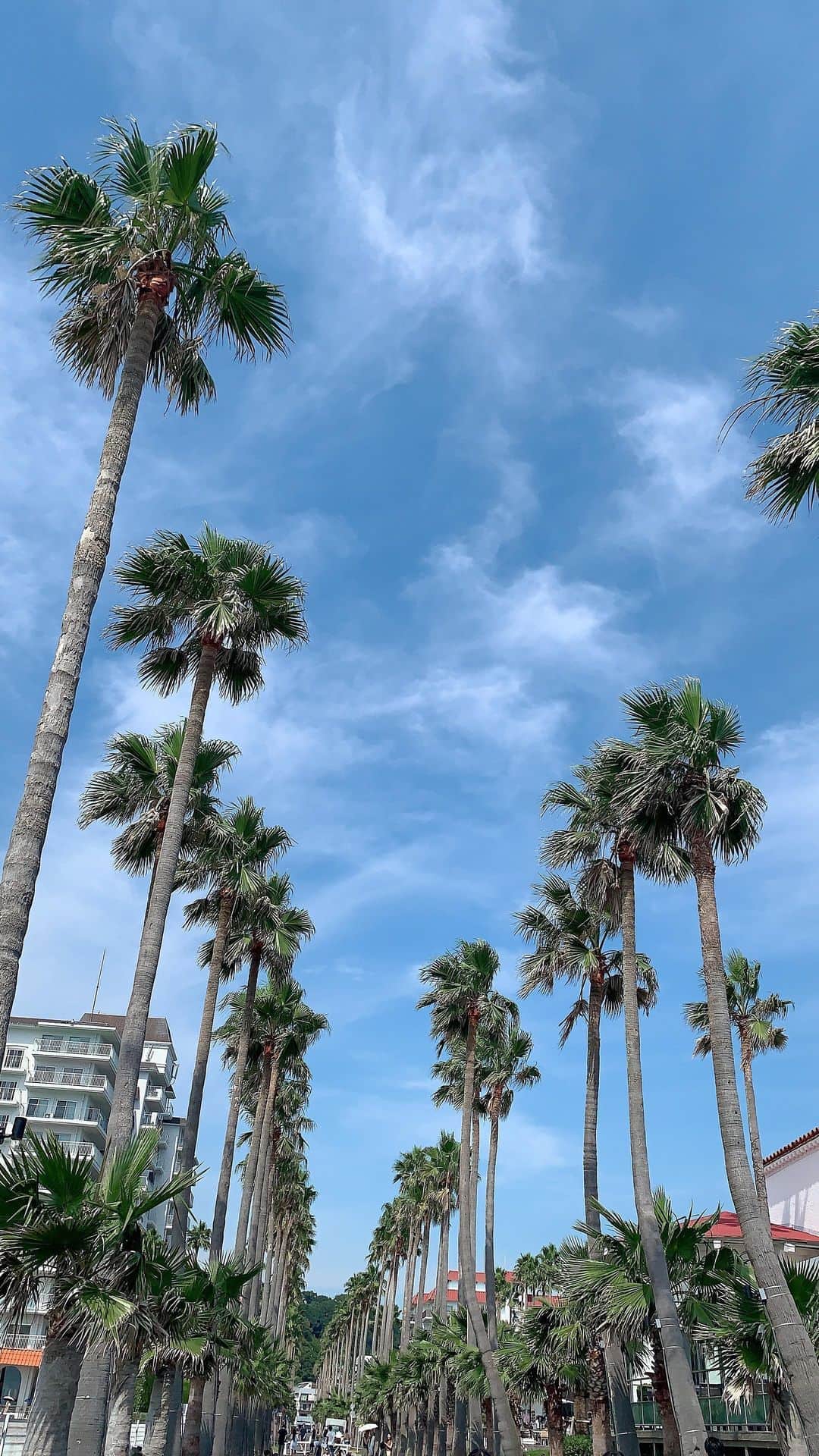 のインスタグラム：「#リビエラ逗子マリーナ  #逗子マリーナ #逗子カフェ  #逗子マリーナ🌴  夏の思い出🌻 あと少しだけ😊💕」