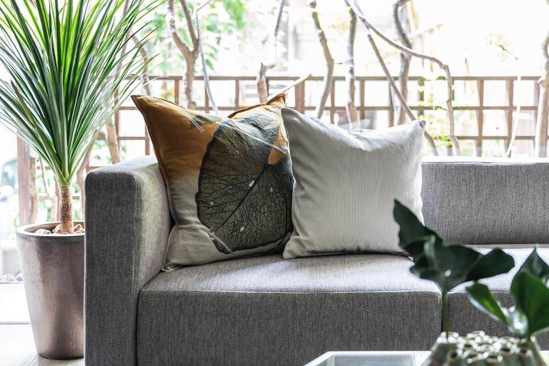 Cassina ixc. (カッシーナ・イクスシー) のインスタグラム