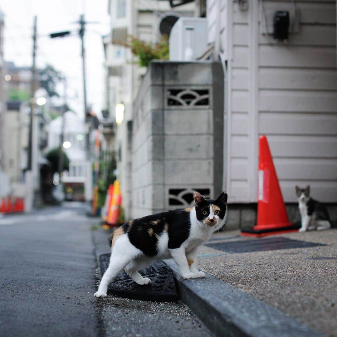 ををつかのインスタグラム