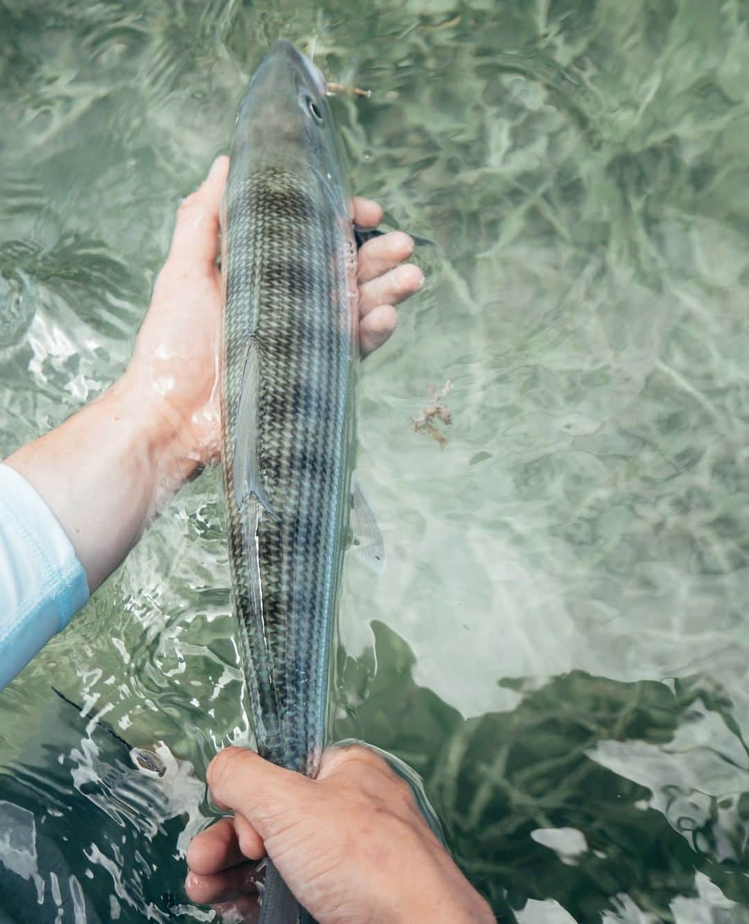 のインスタグラム：「Nothing like a ghost tale. ⁠ Catch the folks over at @bonefishtarpontrust and the @articulatefly on our #BringTheWaterHome podcast playlist at the link in our bio. #SeeWhatsOutThere #BornOnTheWater」