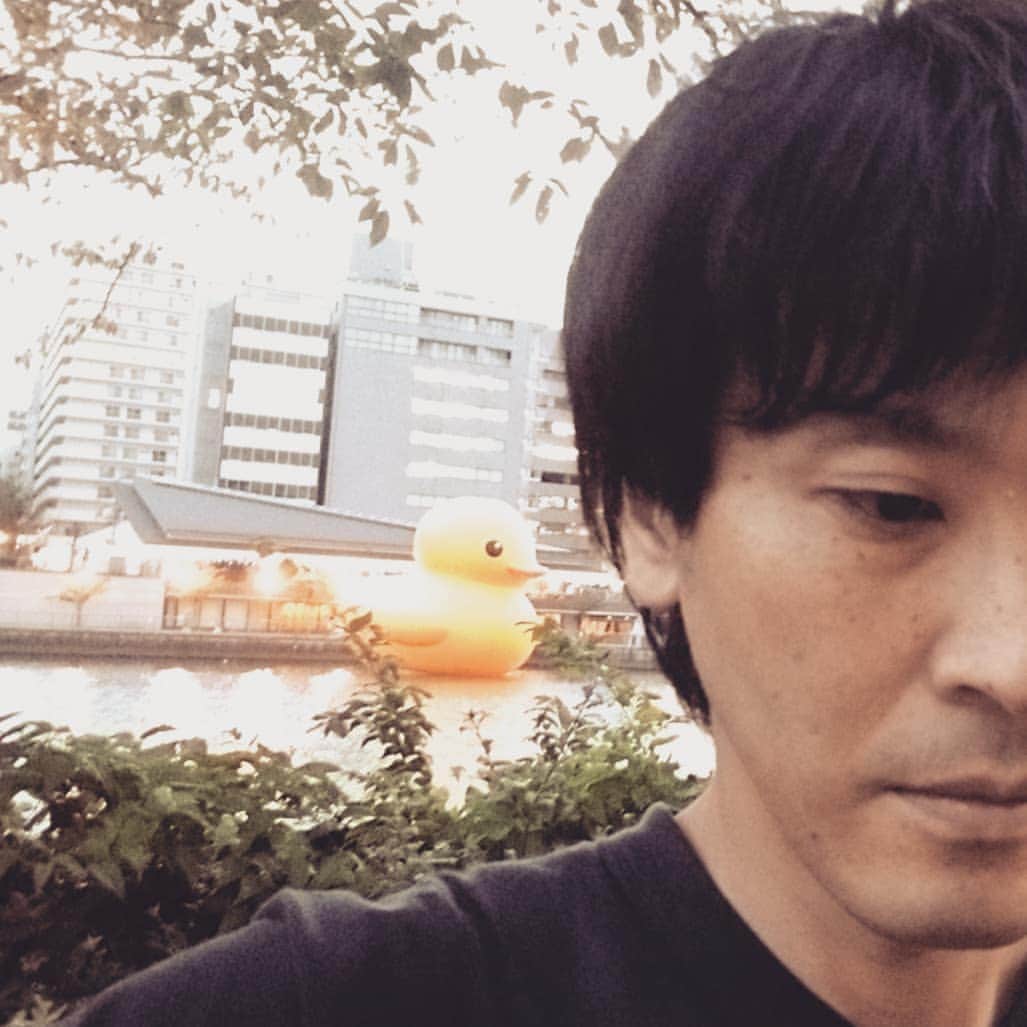 町田星児さんのインスタグラム写真 - (町田星児Instagram)「今また大阪におるで。 #ラバーダック」8月19日 6時46分 - machidaseiji