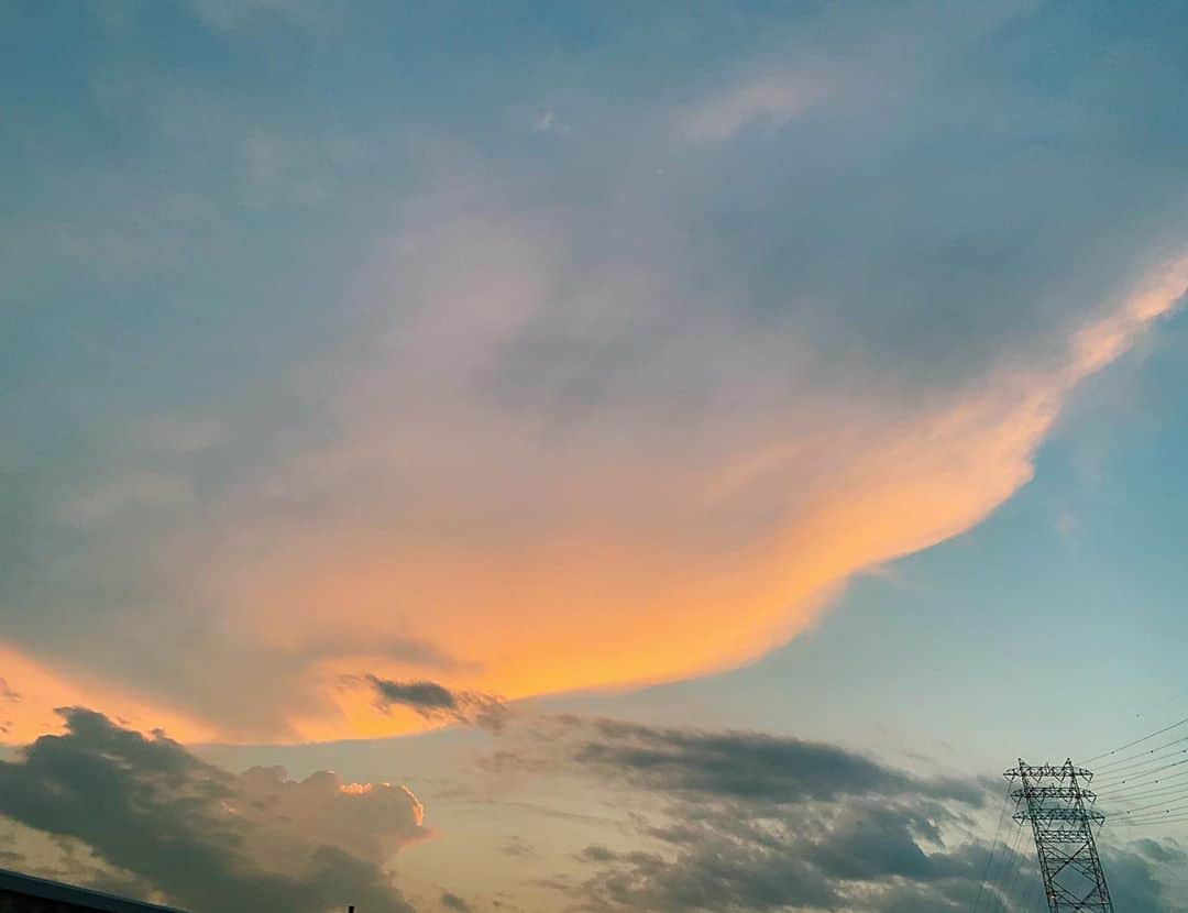 shihori.kathleenのインスタグラム：「🍊🐋　 〝優しさ〟 を示すことは 〝優しさ〟だ  人と人のスキマに生まれる〝静かな〟優しさもあって その  〝優しさ〟に気づくことも〝優しさ〟だ」