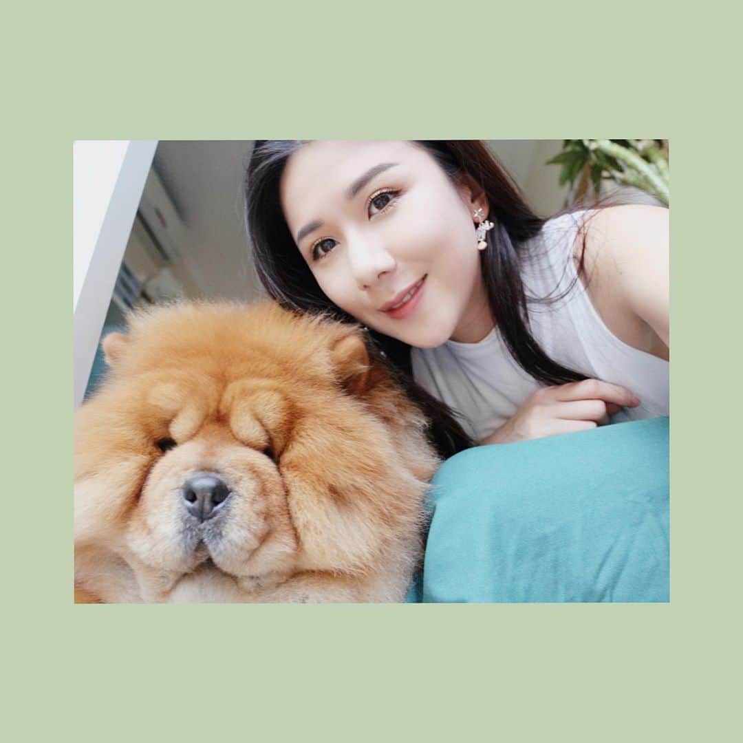 Chloe Yuenさんのインスタグラム写真 - (Chloe YuenInstagram)「. Some things just fill your heart without trying   Love you chow bae  #mychowchow❤️#chowchowlover#hkdoglover#hkig#sofluffy#letshugitout#loveyouchowbae#tuesdaythoughts💭」8月18日 22時16分 - yuenyeechloe