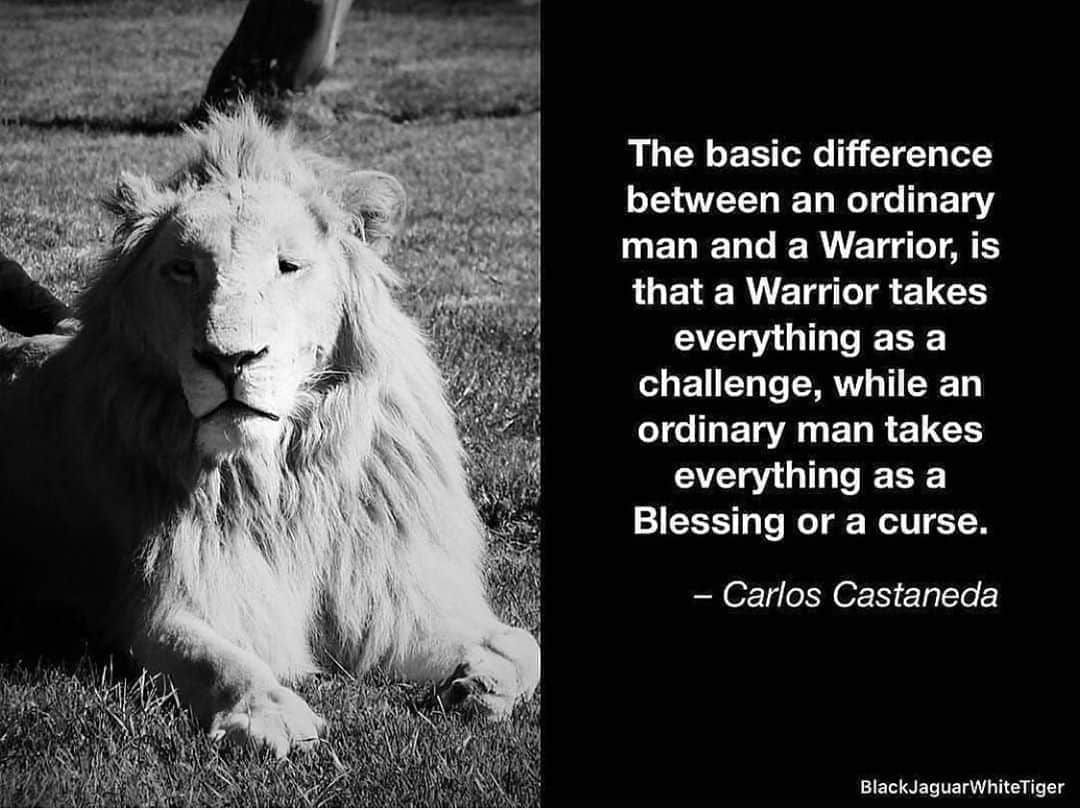 Black Jaguar-White Tiger さんのインスタグラム写真 - (Black Jaguar-White Tiger Instagram)「#PapaBearChronicles #CarlosCastaneda #CarlosCastanedaBJWT」8月18日 23時01分 - blackjaguarwhitetiger