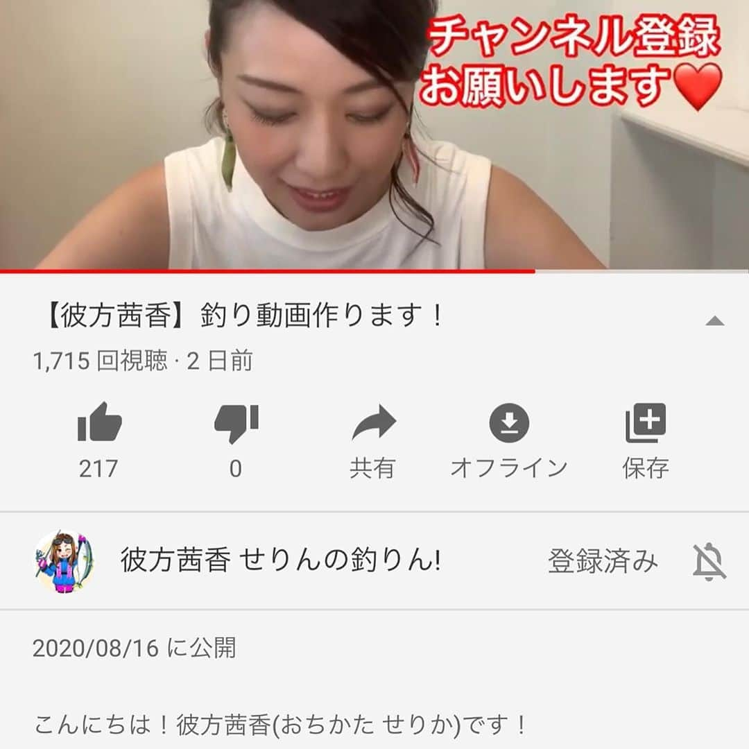 彼方茜香さんのインスタグラム写真 - (彼方茜香Instagram)「YouTube♥ 「せり〜んの釣りしてるとこ見たい」 12年間出演してきた釣りビジョンを卒業して2年。くらい。が経ちました。 釣りが好きになれた事感謝しています。 プライベートの釣りは今までコソコソしてましたが、そんなプライベートな釣りも含めてYouTubeに残すことにしました(^-^)v 好きな釣り、食べたい魚、行きたい場所、ワイワイ出来る仲間と♪ いろんな方が力をくださって実現に向けて進んでマース！ しっかりと皆さんを巻き込んでお届けしたいと思いますので宜しくお願いします(^^)ﾉ YouTube「彼方茜香」検索 「せりんの釣りん」 チャンネル登録お願いします！ 福井県OCEAN QUEENに行ったプライベートイカメタル！編集中！ フィッシングエイト本店さんにもお邪魔してます(^^)v お楽しみに♪ #彼方茜香 #釣りYouTube #sarynfishing #せりんの釣りん #oceanqueen #フィッシングエイト本店」8月18日 23時15分 - serikaochikata