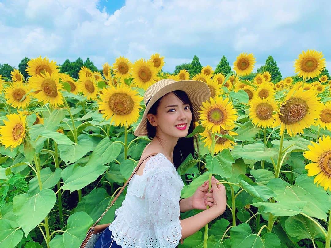 のインスタグラム：「・ ・ ・ 去年の今頃はひまわり畑に 行ってたのになあ🌻 今年も行きたかったけど 来年の楽しみにしよう🌻☀️💛 ・ ・ ・ #ひまわり #ひまわり畑🌻  #1年前の写真 #思い出」