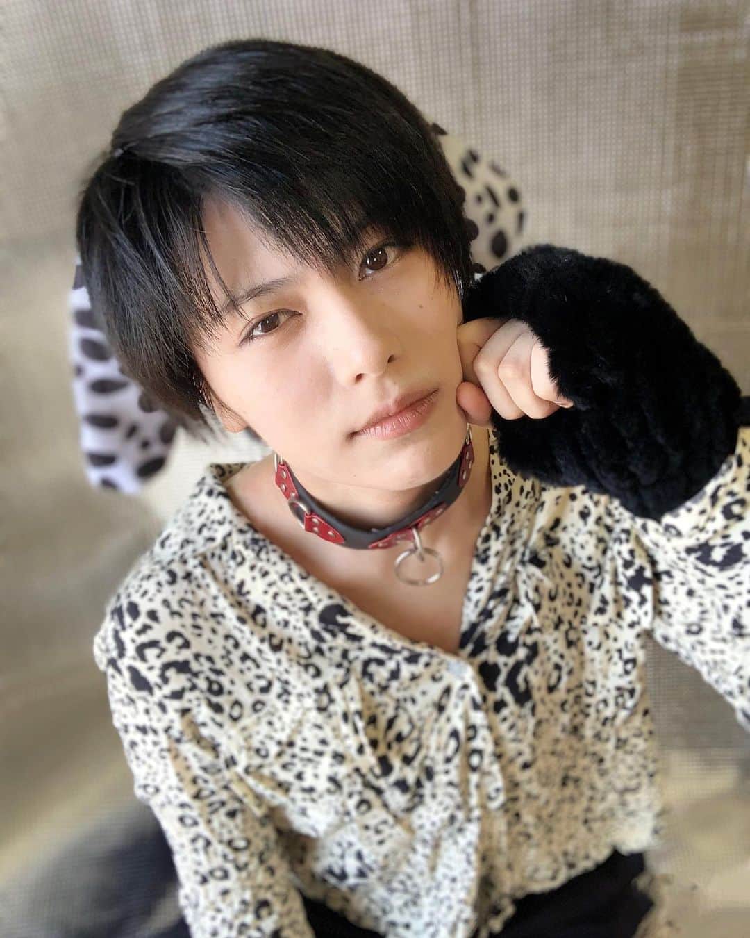のインスタグラム：「だるめしワン！！！🐾🐄  やってみました。 心なしか 牛みもあるけど！！ わんころ🐶です！！！！！！！！  .  . 🍼 🐄 .  #犬耳#コスプレ#portrait#ダルメシアン#中性」