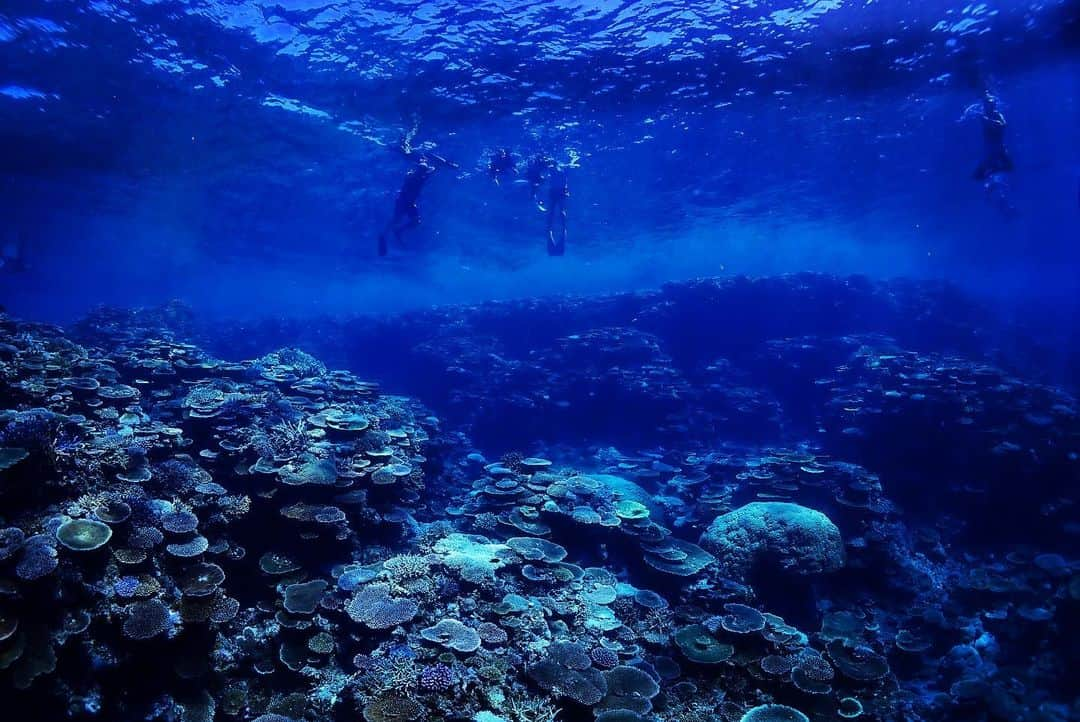 宮良忍（SHINOBU）さんのインスタグラム写真 - (宮良忍（SHINOBU）Instagram)「なんだか、久しぶりの海写真投稿🏖 青い海は、癒されるね😌  #小浜島 #海」8月18日 23時39分 - shinobu_miyara