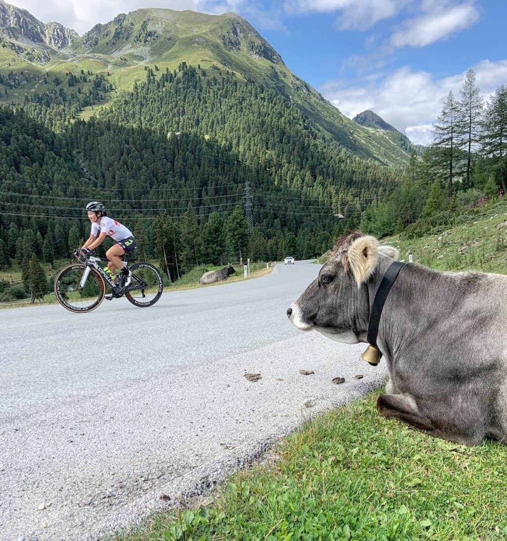 のインスタグラム：「This is where I am ⛰+🚵🏻‍♀️+🐂=🤘🏻  . . #今日のエリさん　#IAmAle #cipollini #NK1K #campagnolo #rudyproject #prologo #withDMT #windtex」