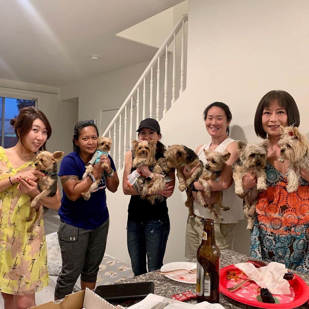 のインスタグラム：「Always a wonderful time in Las Vegas! (8/12-8/16) ♥️🥰❌⭕️ #11Yorkies #DogMomsRock」