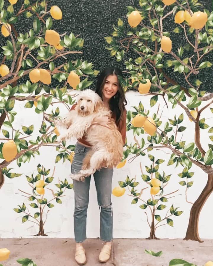ケイト・ボイージェルのインスタグラム：「pretending our new backyard is full of lemon trees 🍋 has anyone ever successfully planted a mature fruit tree in their yard?? Not gonna lie it sounds pretty intimidating 😬 pretty sure @nolawestcoast is pushing for a pepperoni tree though 🍕🐾  .  this cool animated backdrop is from my friend @rclayton ‘s new filter pack on @flickplay and it’s super fun! She has a lot of really cute filters on there and all you need is a blank wall (which i have a lot of at the moment!) Happy Tuesday!」