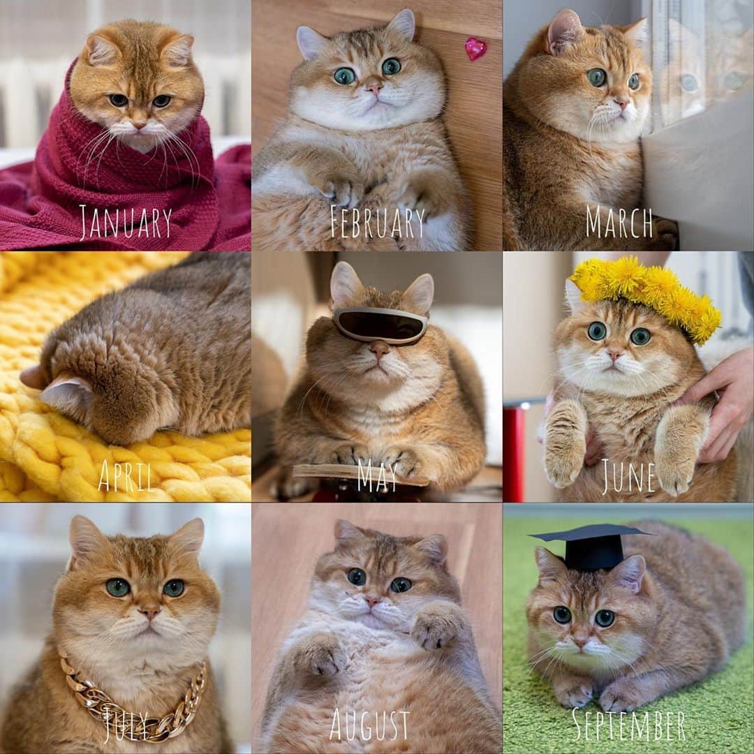 Hosicoのインスタグラム
