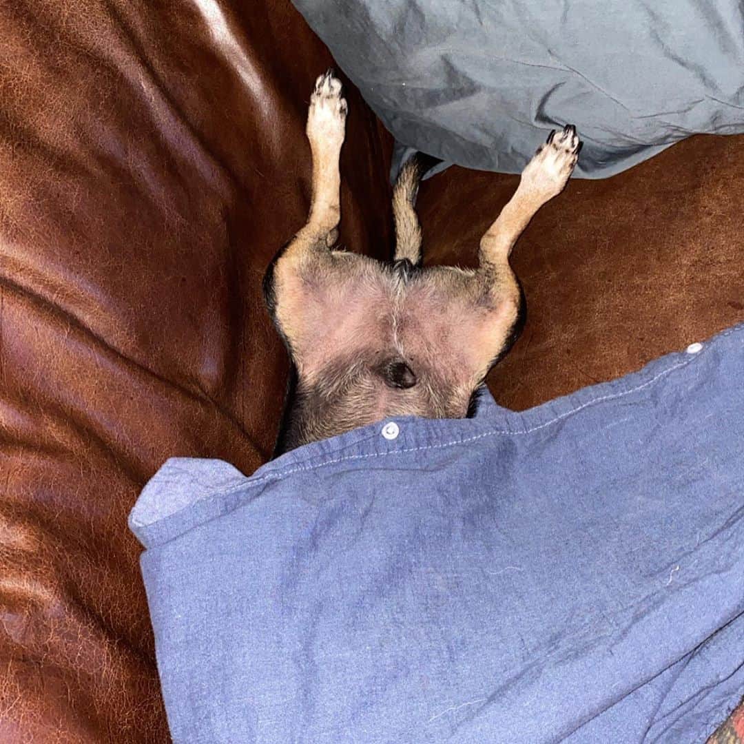 タイラー・ポジーのインスタグラム：「Good morning! Swipe for a little analogy everyone to start the day. I could be wrong about it but I thought it was cool :)」