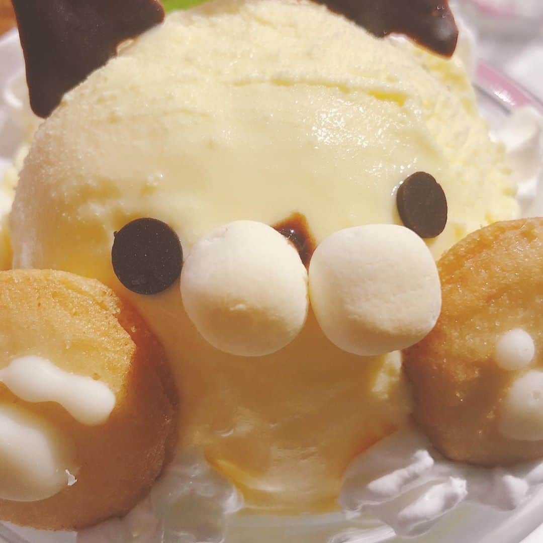 野原ちんのインスタグラム：「新たな境地に足を踏み入れました。。😿 密かにコンカフェ通になりそうです。。😿 癒しを求めてるんだろうなあ ･ ･ ･  平和しか勝たん… ･」