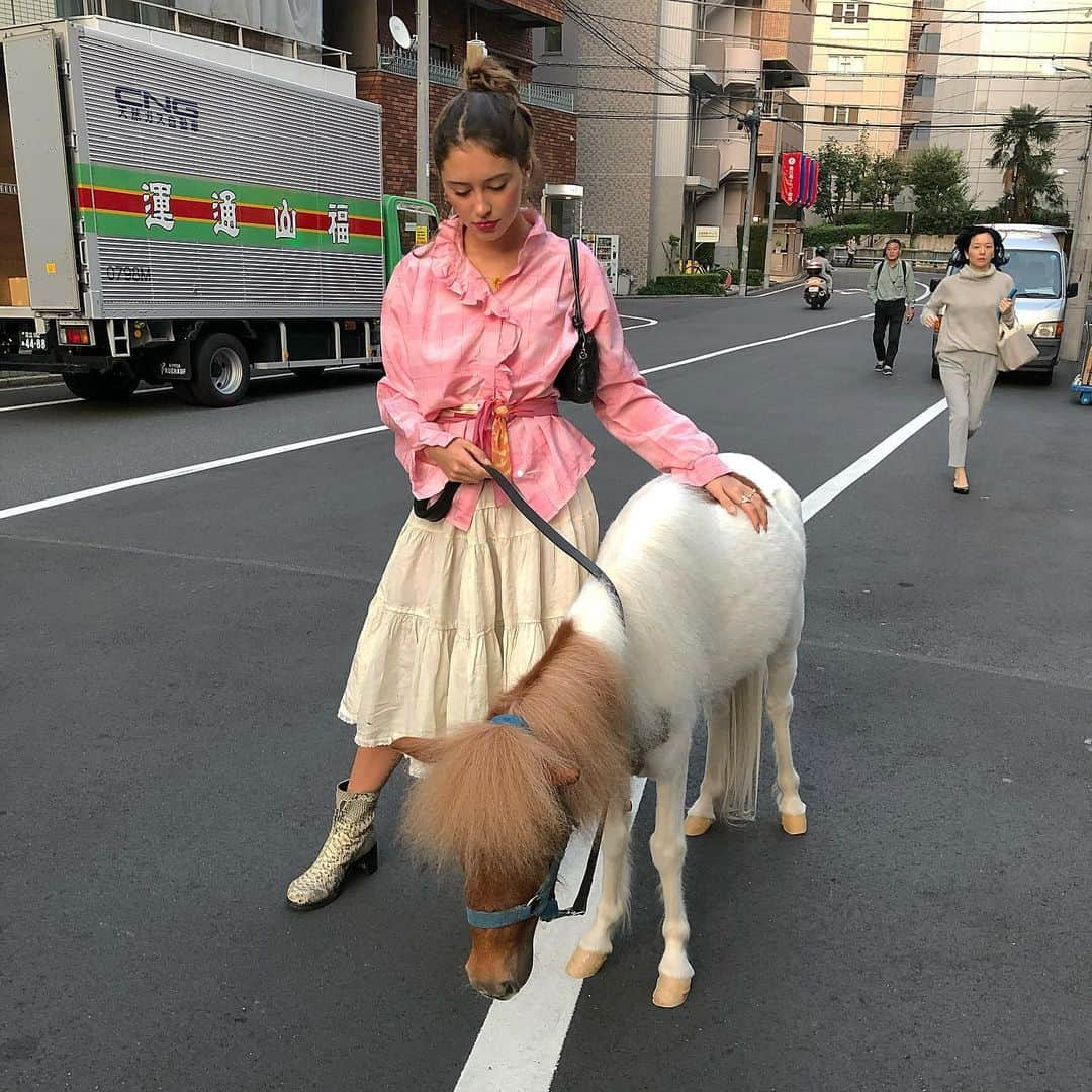 アイリス・ロウさんのインスタグラム写真 - (アイリス・ロウInstagram)「❀⑅*❀⑅*❀🤡⑅*❀⑅*❀ 𝕄𝕖 𝕒𝕟𝕕 𝕞𝕪 𝕟𝕖𝕨 𝕡𝕦𝕡𝕡𝕪~  𝒜𝓁𝓈𝑜 𝐼 𝓁𝑜𝓋𝑒 𝓉𝒽𝑒 𝐻𝒶𝒾𝓇 𝒶𝓃𝒹 𝑜𝓊𝓉𝒻𝒾𝓉 𝑜𝒻 𝓉𝒽𝑒 𝓌𝑜𝓂𝑒𝓃 𝒷𝑒𝒽𝒾𝓃𝒹 𝓂𝑒 ~ 🍰 💧❀⑅*❀🇯🇵⑅*❀⑅*❀🍦⑅*❀」8月19日 3時05分 - lirisaw