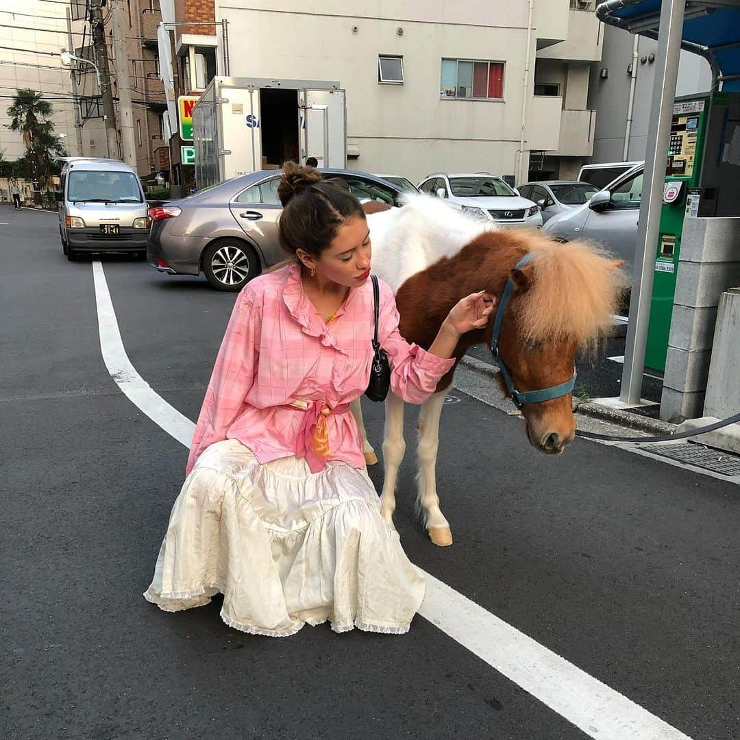 アイリス・ロウさんのインスタグラム写真 - (アイリス・ロウInstagram)「❀⑅*❀⑅*❀🤡⑅*❀⑅*❀ 𝕄𝕖 𝕒𝕟𝕕 𝕞𝕪 𝕟𝕖𝕨 𝕡𝕦𝕡𝕡𝕪~  𝒜𝓁𝓈𝑜 𝐼 𝓁𝑜𝓋𝑒 𝓉𝒽𝑒 𝐻𝒶𝒾𝓇 𝒶𝓃𝒹 𝑜𝓊𝓉𝒻𝒾𝓉 𝑜𝒻 𝓉𝒽𝑒 𝓌𝑜𝓂𝑒𝓃 𝒷𝑒𝒽𝒾𝓃𝒹 𝓂𝑒 ~ 🍰 💧❀⑅*❀🇯🇵⑅*❀⑅*❀🍦⑅*❀」8月19日 3時05分 - lirisaw