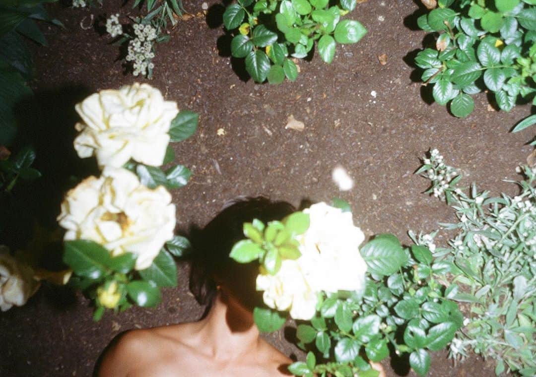 松島エミのインスタグラム：「Secret Garden🌹 📸 @rita_lino」